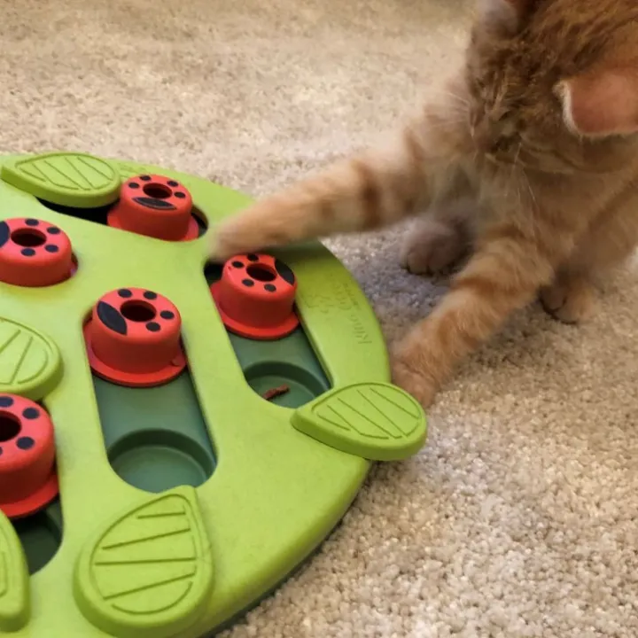 Aktivitetsleksak till katten