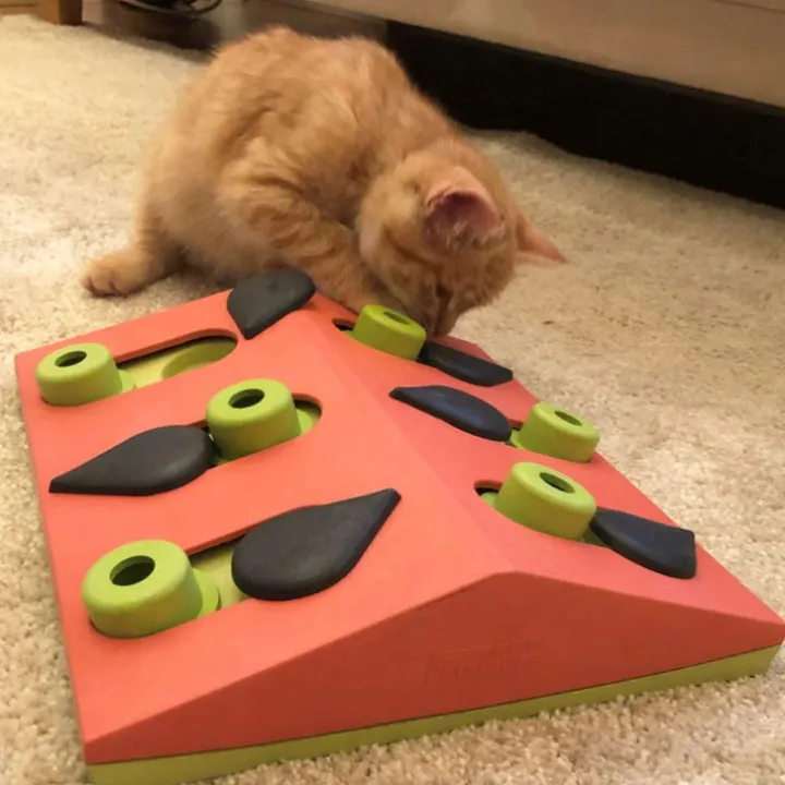 Aktivitetsleksak till katten