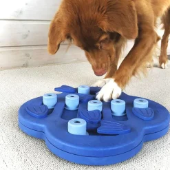 Aktivitetsspel för hunden