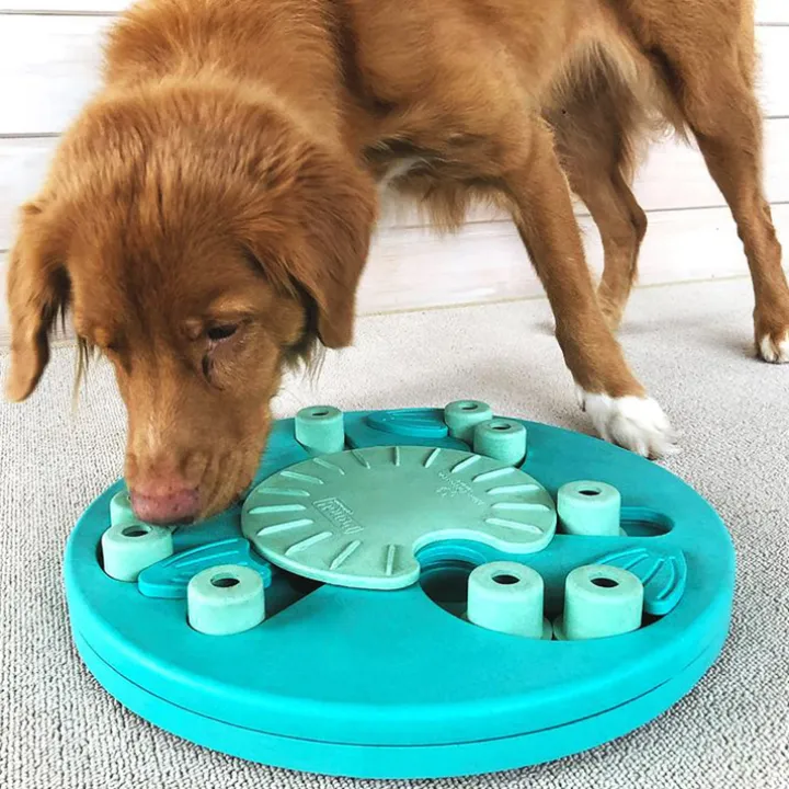 Aktivitetsspel för hunden