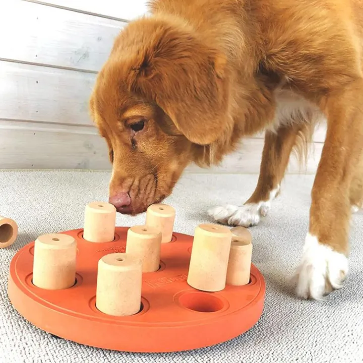 Aktivitetsspel för hunden
