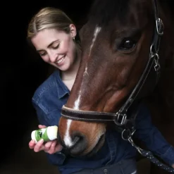 Antiskavstift till djur, The Skin Agent