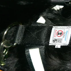 Bilbältessele till hunden