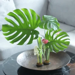 Blomsterfakir
