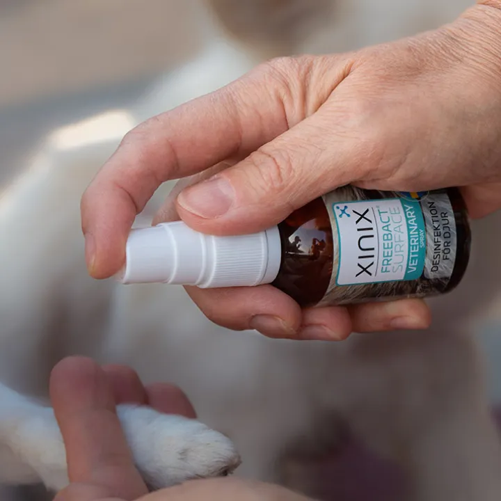 Desinfektionsspray för djur, Xinix FreeBact Surface