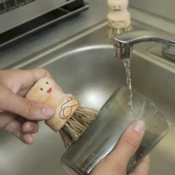 Diskborste i trä, Herr Scrubber, Kikkerland