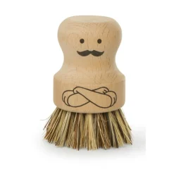 Diskborste i trä, Herr Scrubber, Kikkerland