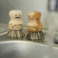 Diskborste i trä, Herr Scrubber, Kikkerland