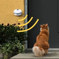 Dörrklocka för katten