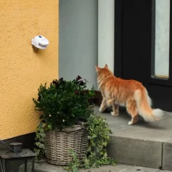 Dörrklocka för katten