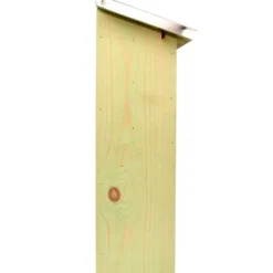 Fladdermusholk