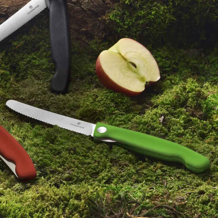 Fällbar picknickkniv med tandat blad