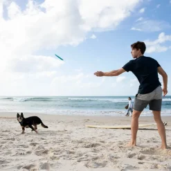 Frisbee till hunden