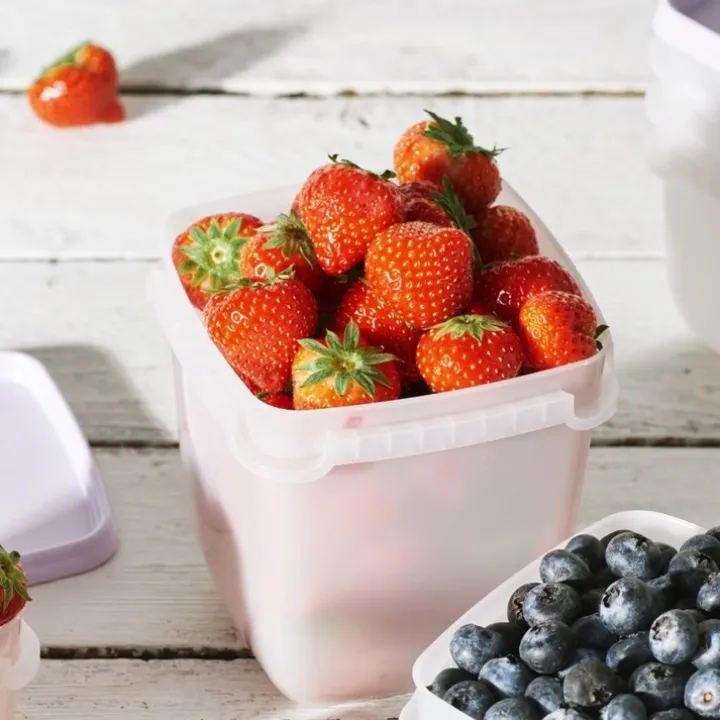 Fryslåda 1L 3-pack, SmartStore