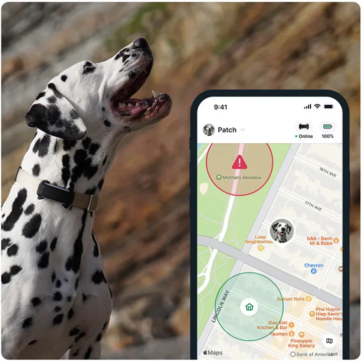 GPS till hund, Tractive