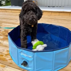 Hopfällbar hundpool