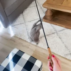 Kattspö