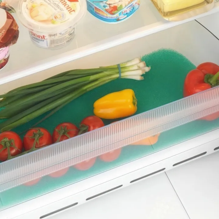 Kylskåpsmatta för grönsakslåda, Wenko