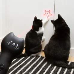 Laserpekare för katt