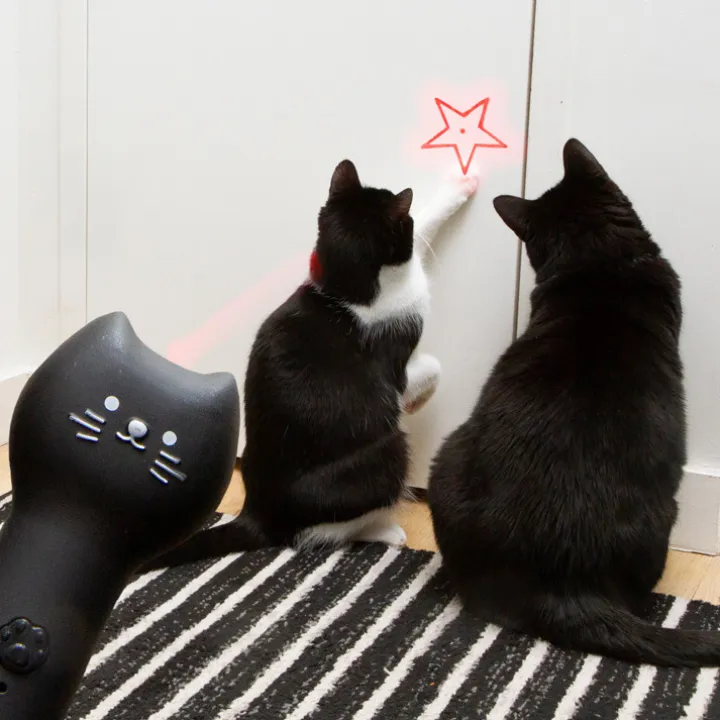 Laserpekare för katt