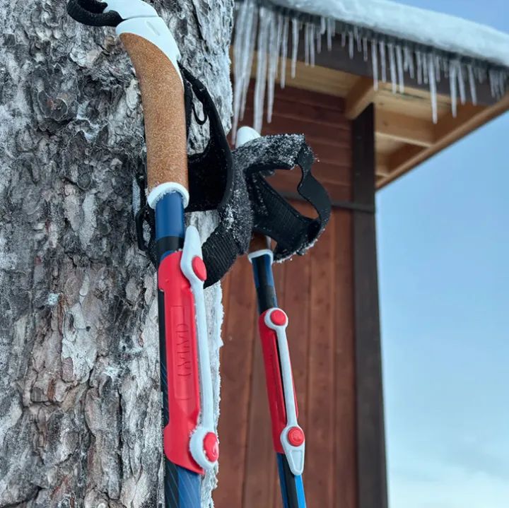 Längdskidhållare 2-pack, Lyly-Strap