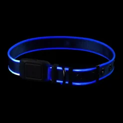 Lysande hundhalsband