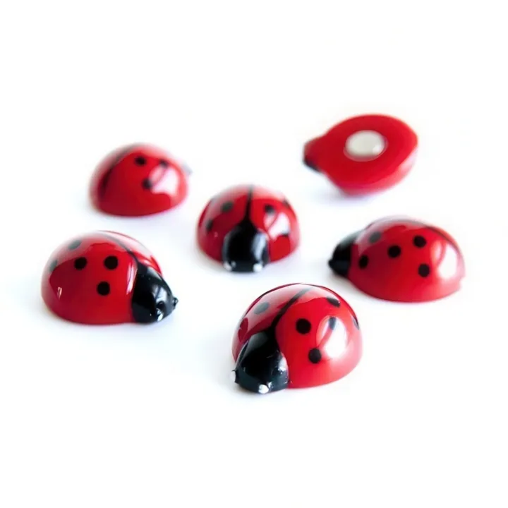 Magnetfigur 6-pack, Nyckelpiga