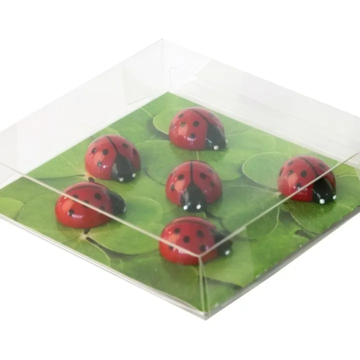 Magnetfigur 6-pack, Nyckelpiga