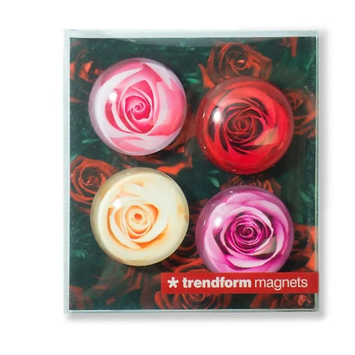 Magnet i glas 4-pack, Rosor