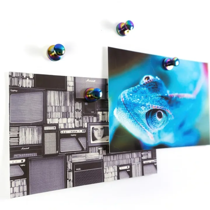 Magnet med knopp 4-pack