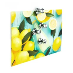 Magnet med knopp 4-pack, Silver