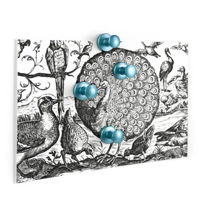 Magnet med knopp 4-pack, Silverblå