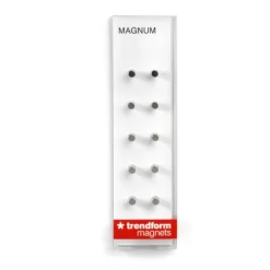 Minimagnet cylinder 10-pack, Silver