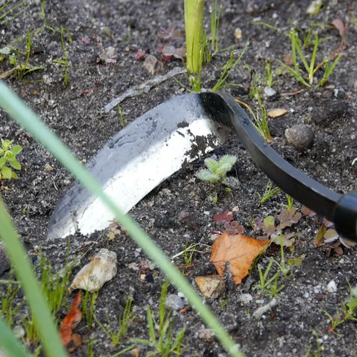 Ogräshacka i kolstål