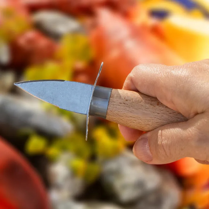 Ostronkniv