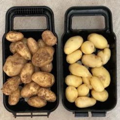 Potatisskrubbare Potturi