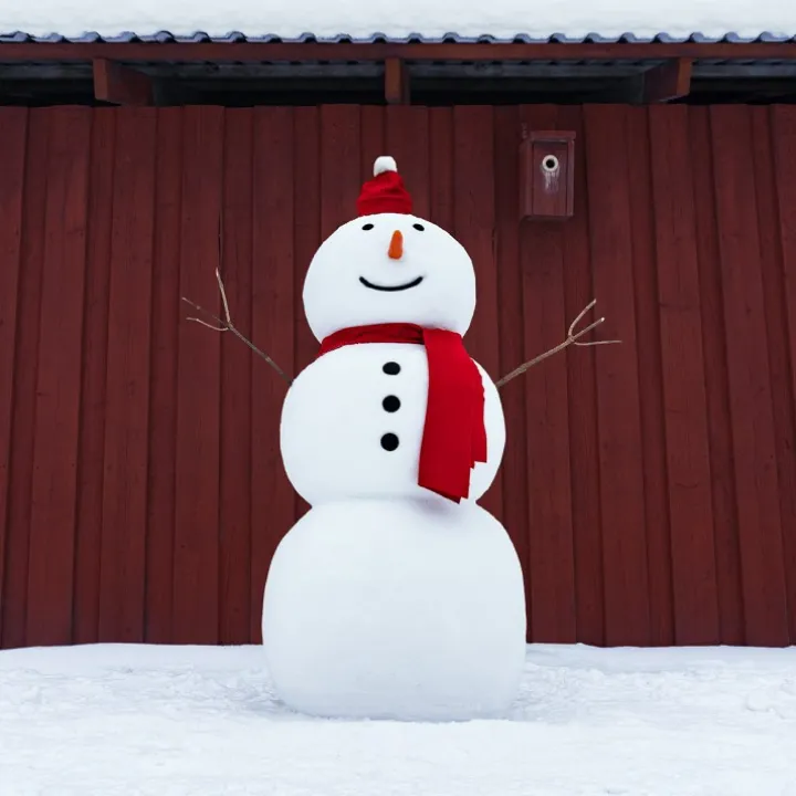 Snöskulptursäck