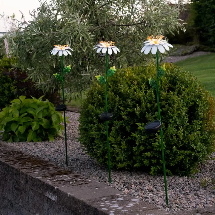 Solcellsblomma på spett, Daisy