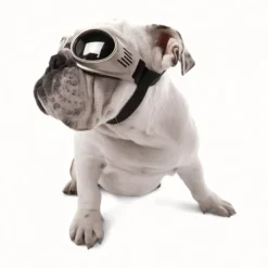 Solglasögon för hundar, Doggles