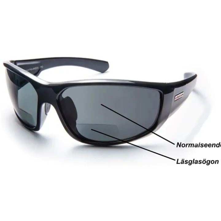 Solglasögon med läsruta