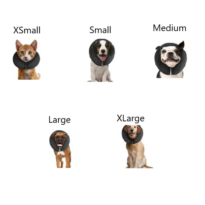 Uppblåsbar hundkrage