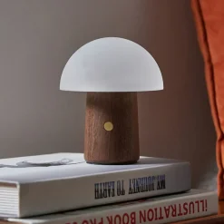 Uppladdningsbar svamplampa
