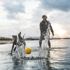 Vattenstudsboll till hunden