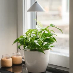 Växtlampa på spett 7W